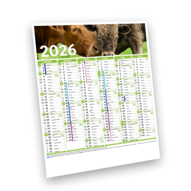 1 - VITRINES - 2026 - CAB0007